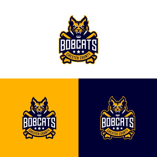 Bobcats - Entry logo