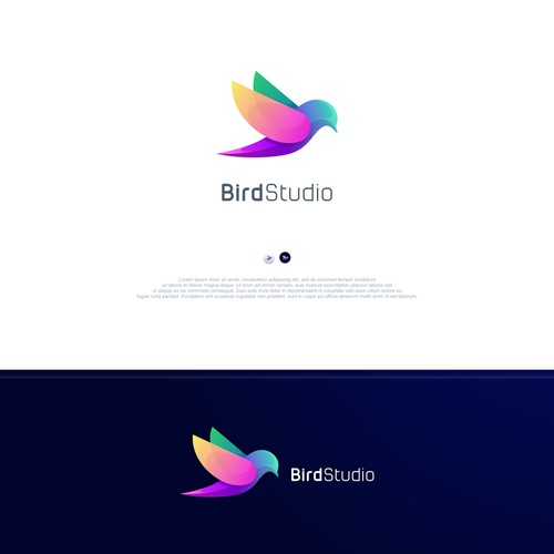 Bird Studio logo concept