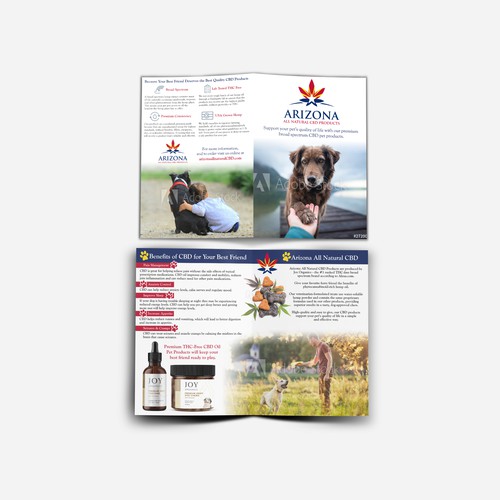 Brochure Design Contest Winner