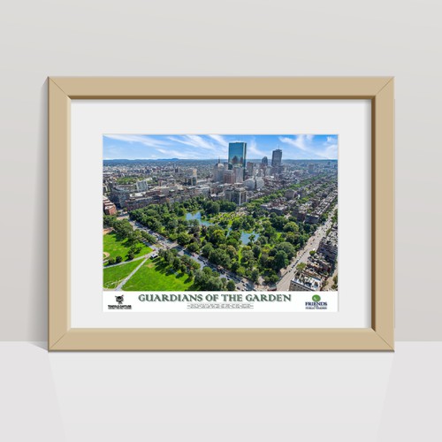 Boston Public Garden Print