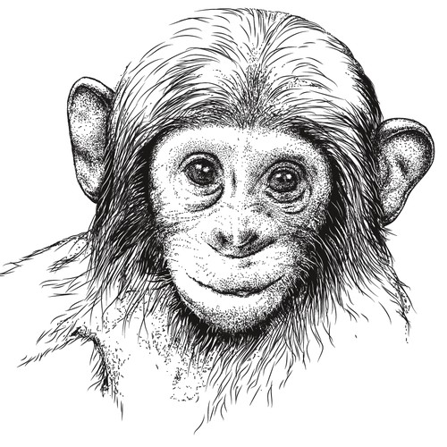 Realistic Animal illustrations