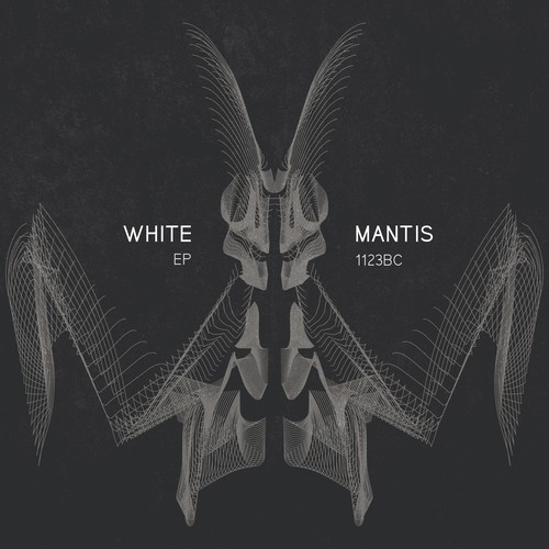 White Mantis : EP Concept