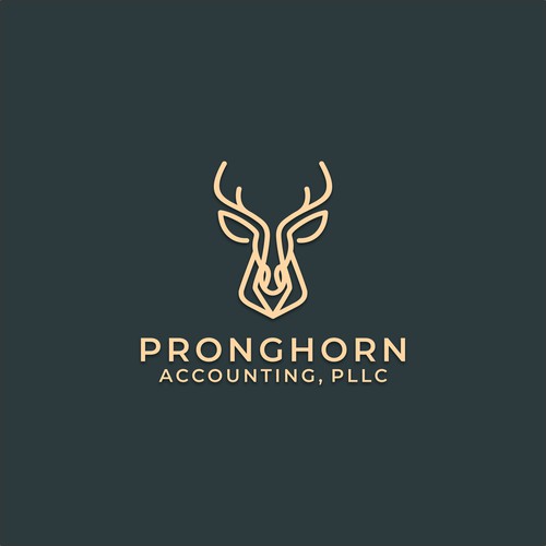 Pronghorn Accounting