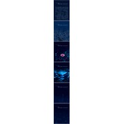Reviewed design