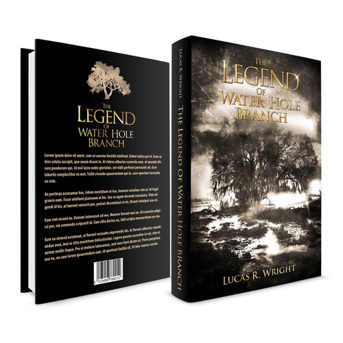 Create a book cover for a story about lost Spanish Treasure!