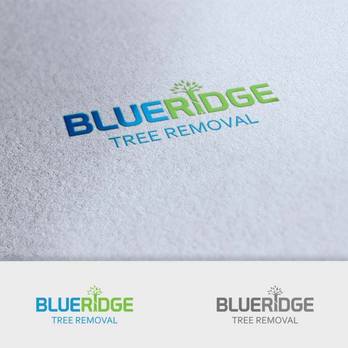 Help Blueridge Create Their New Logo & Branding!