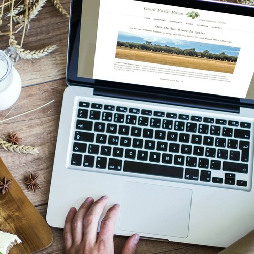 SITE REFRESH FOR 100-YEAR OLD OLIVE FARM