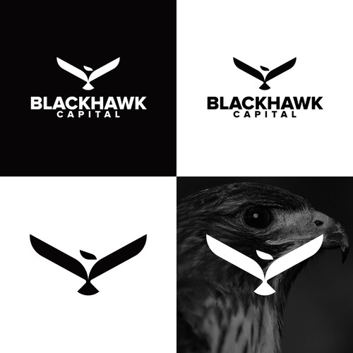 Hawk Logo