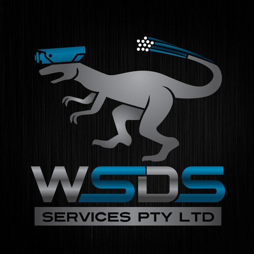 Create a stand out logo For WSDS Services