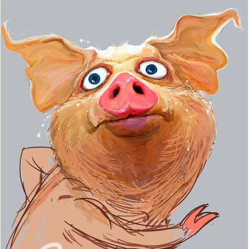 frantic pig