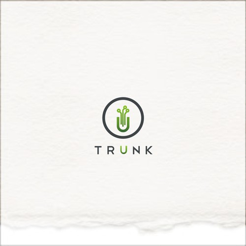 Create an amazing logo for a tech company