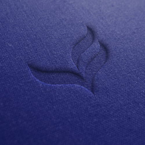 logo for a charity corp.