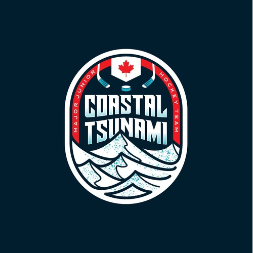 Sport emblem concept