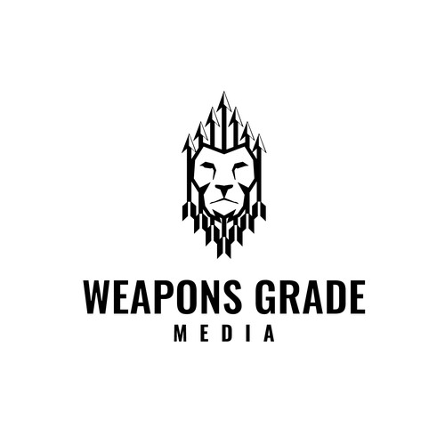 A Lion logo concept for a weapons photography brand.