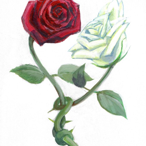 Entangled Roses illustration for YA novel