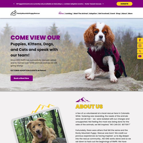 website layout  designing in figma photoshop 