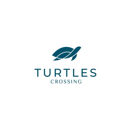 Turtles Crossing