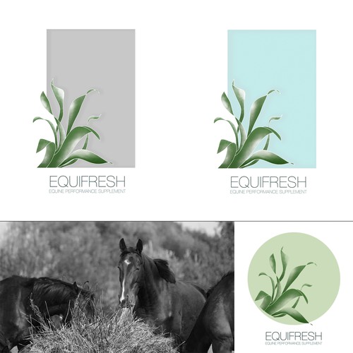 Logo for Horse foddar company