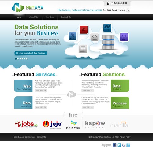 New website design wanted for NetSynergy Virtual Solutions (NETSVS)