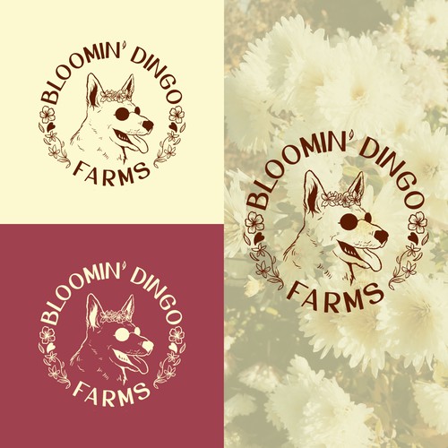 Bloomin' Dingo Farms