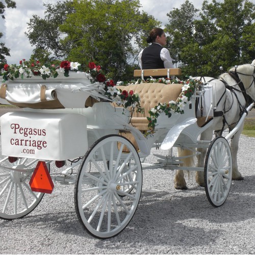 Pegasus Carriage Company