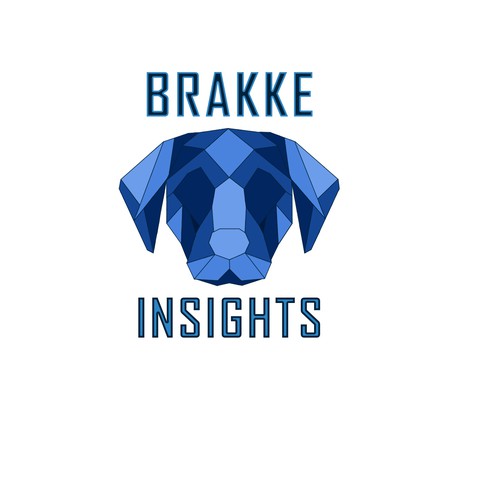 Brakke Alternative Design