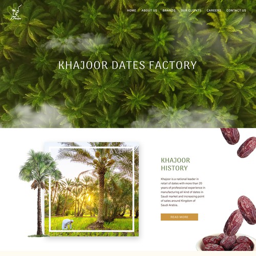 Organic and Nature inspired design for Date Fruit Factory - Khajoor