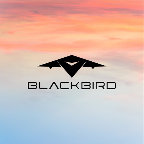 BlackBird Fighter Jet Logo