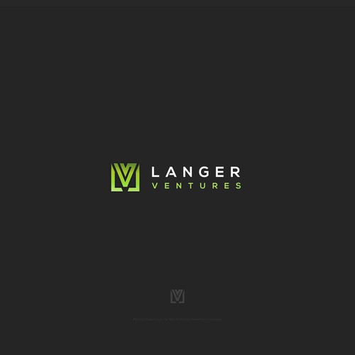 LANGER VENTURES