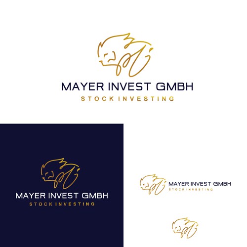 mayer invest