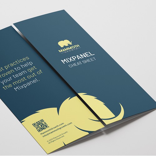 Mammoth Growth Gatefold Brochure