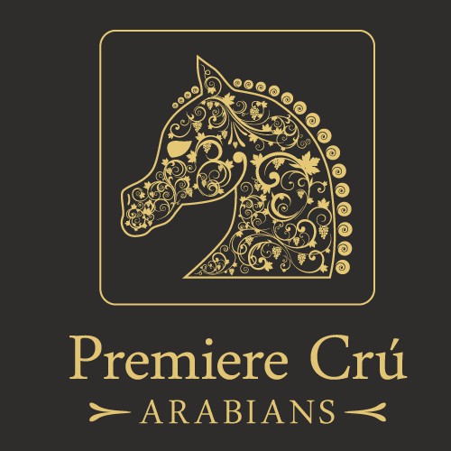 Premiere Crú Arabians Show Horse Logo