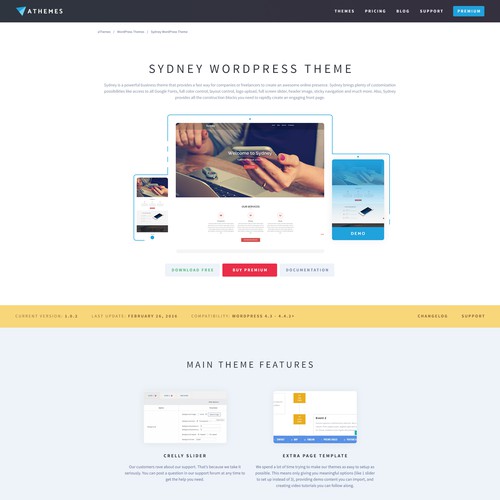 Landing Page for Popular WordPress Theme