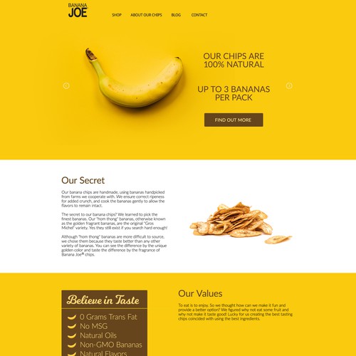 Website Design