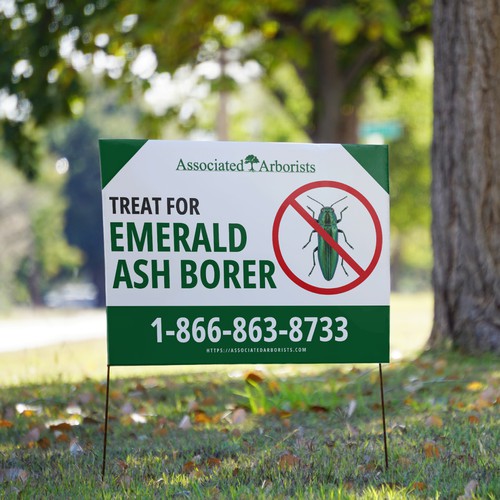 Borer Yard Sign design
