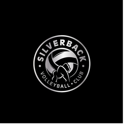 Logo concept for a volley ball club