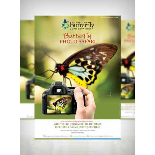 We need a fun and engaging poster for Butterfly Photo Safari!