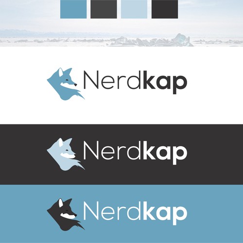 Nerdkap - Winning design -