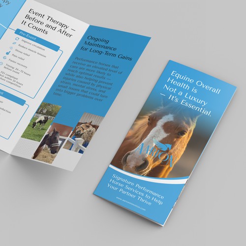 Aarion Tri-Fold Brochure