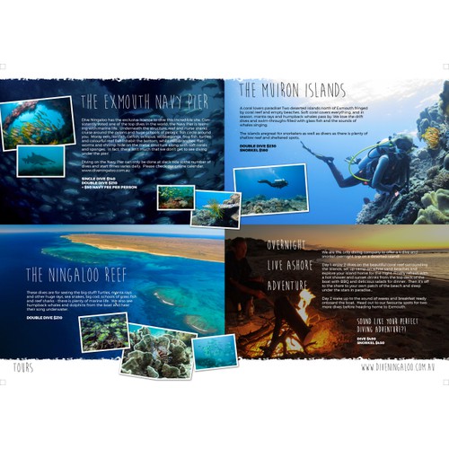 Tourism Brochure