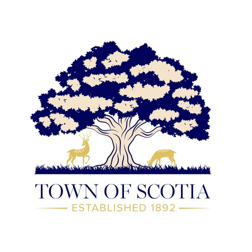town of scotia