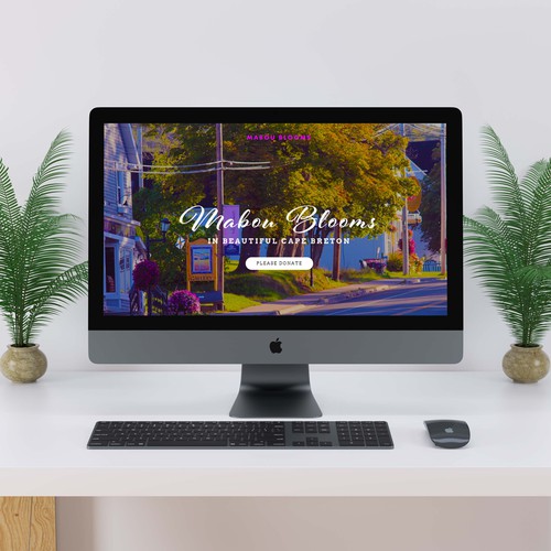 Successful Fundraising Website 