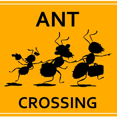 Pest Services Illustration