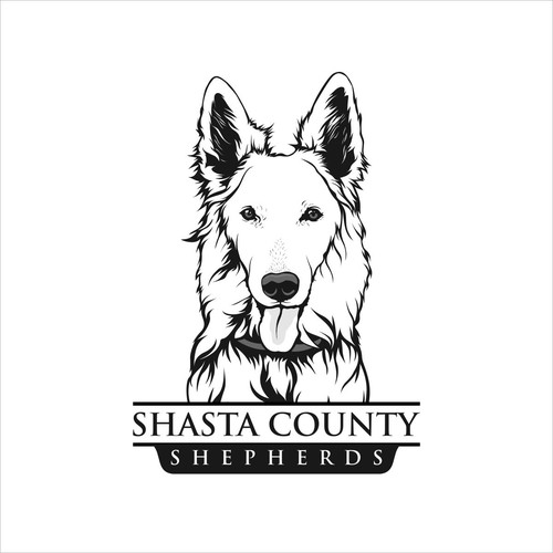 Shasta County logo