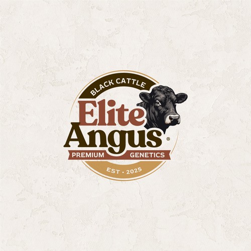 Finalista de concurso de logo, alta puntuación.