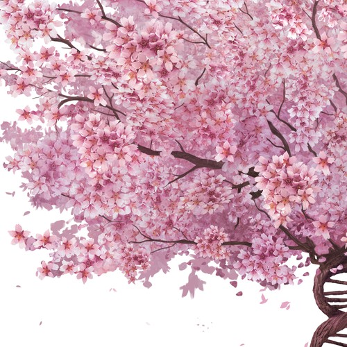 DNA Cherry Tree 
