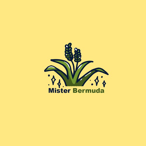 Mister Bermuda 