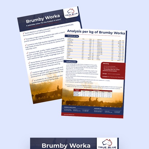 Brochure