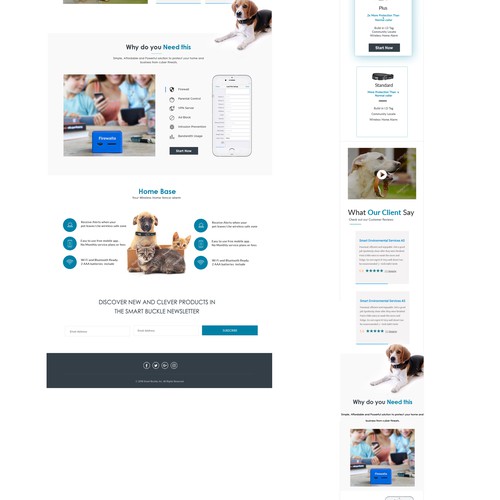 smart buckle web page design 