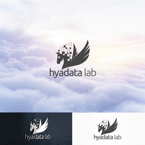 hyadata lab